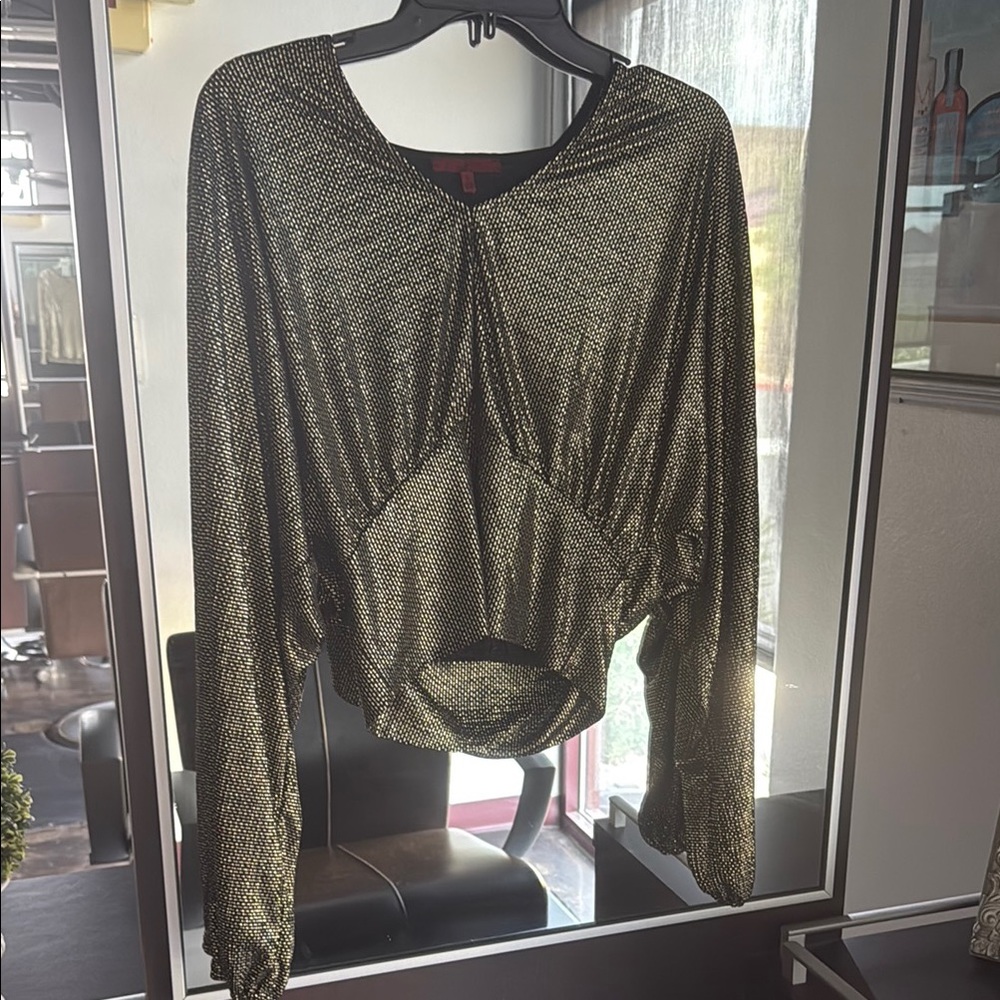 Velvet Metallic Black and Gold Blouse